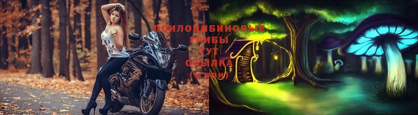 прущие грибы Алзамай