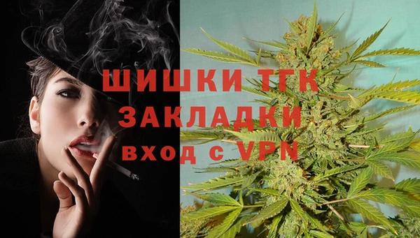 СК Алексин