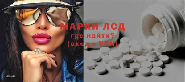 прущие грибы Алзамай