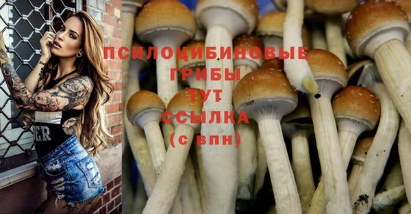 молекула духа Алексеевка