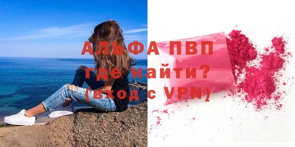 СК Алексин